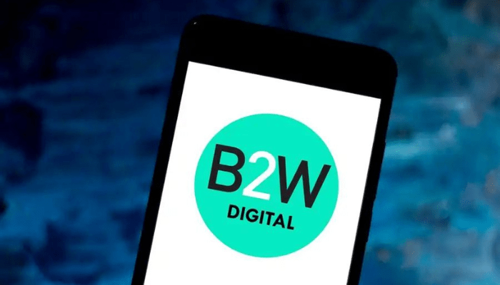 b2w-digital-telefone-de-contato B2W Digital: Telefone, Reclamações, Falar com Atendente, Ouvidoria