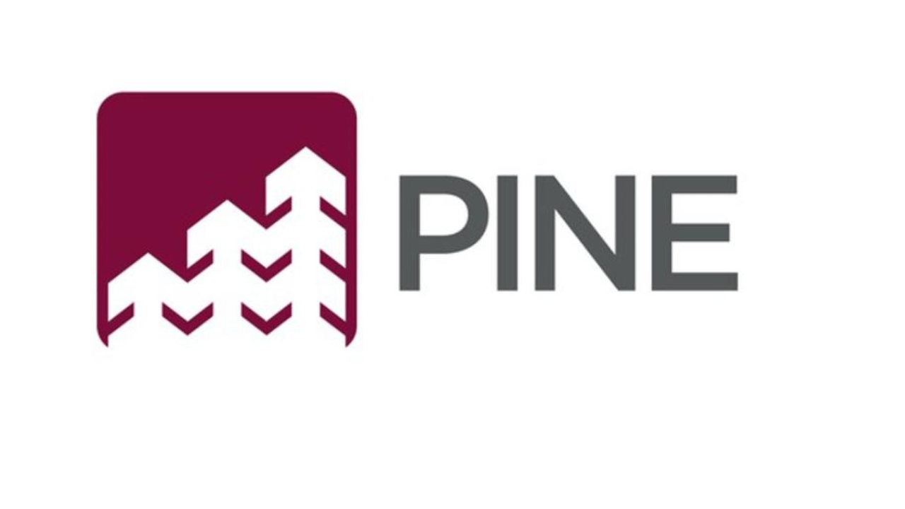 banco-pine Banco Pine: Telefone, Reclamações, Falar com Atendente, Ouvidoria